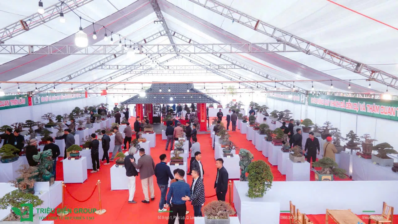 Khai mạc Triển Lãm Mùa Xuân - Nghệ Thuật Bonsai - Ảnh 5