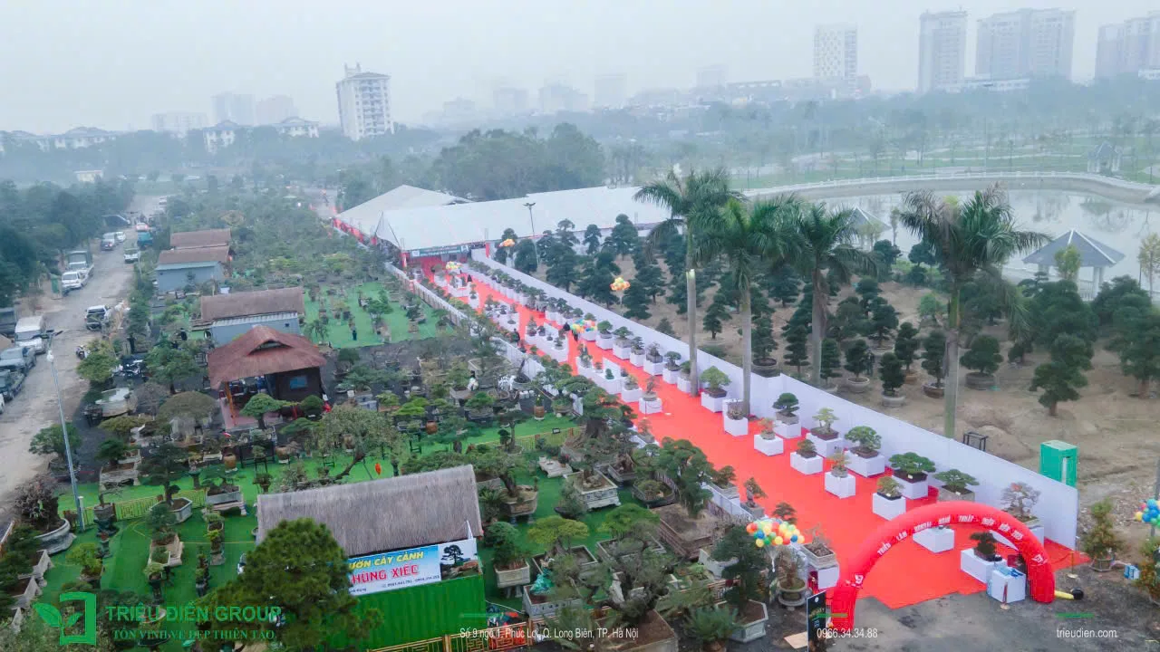 Khai mạc Triển Lãm Mùa Xuân - Nghệ Thuật Bonsai - Ảnh 6