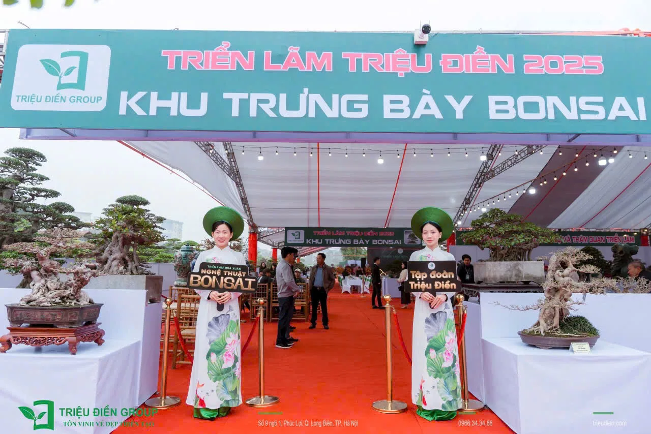 Khai mạc Triển Lãm Mùa Xuân - Nghệ Thuật Bonsai - Ảnh 10