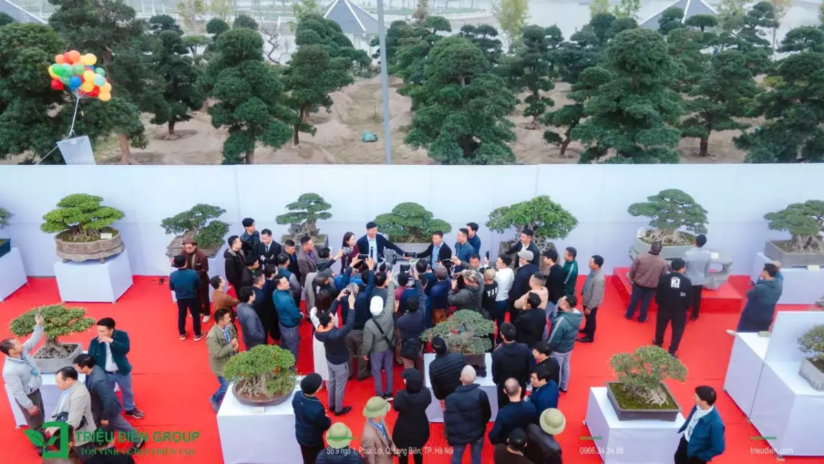Khai mạc Triển Lãm Mùa Xuân - Nghệ Thuật Bonsai - Ảnh 11