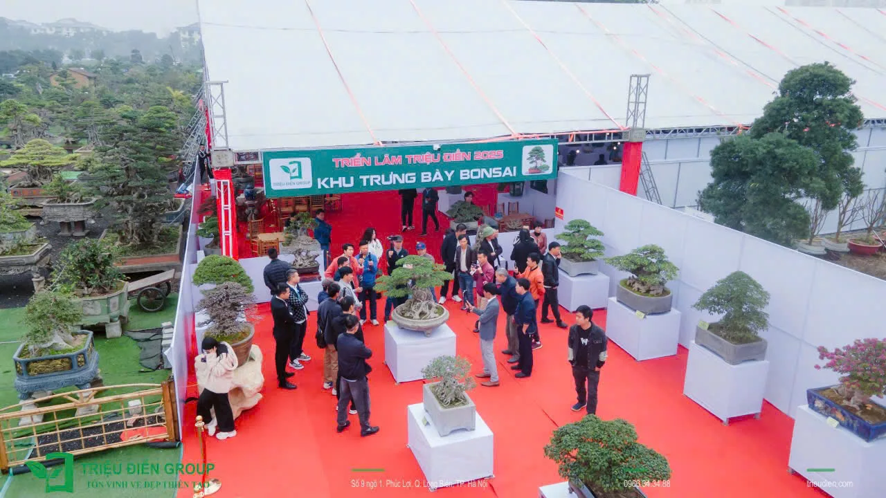 Khai mạc Triển Lãm Mùa Xuân - Nghệ Thuật Bonsai - Ảnh 12